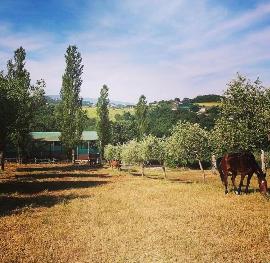 Il Nido Della Colombaia Bed and Breakfast San Nicola Manfredi Eksteriør billede